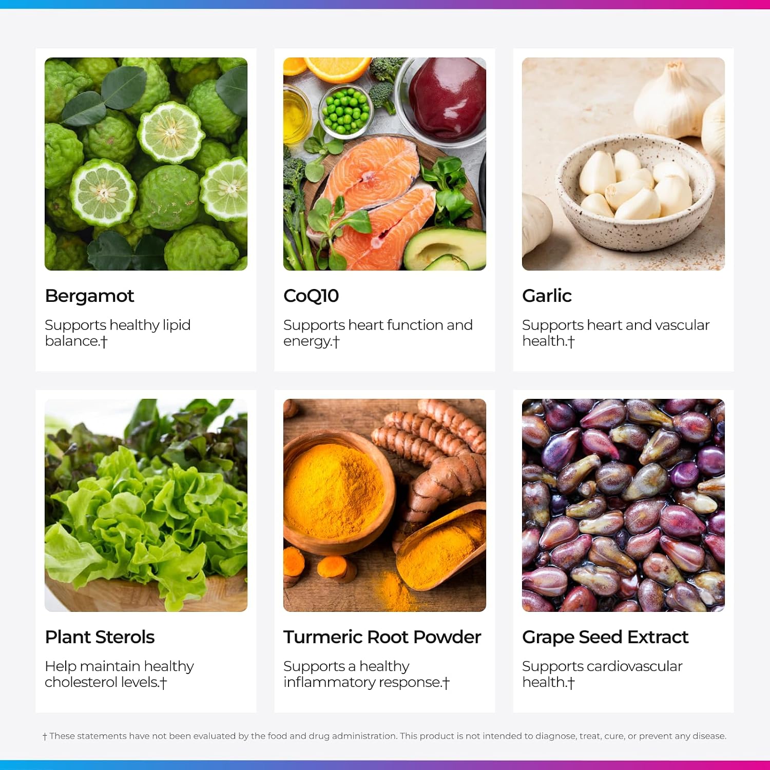 Livingood Daily Cholesterol Support Suplemento para el Colesterol