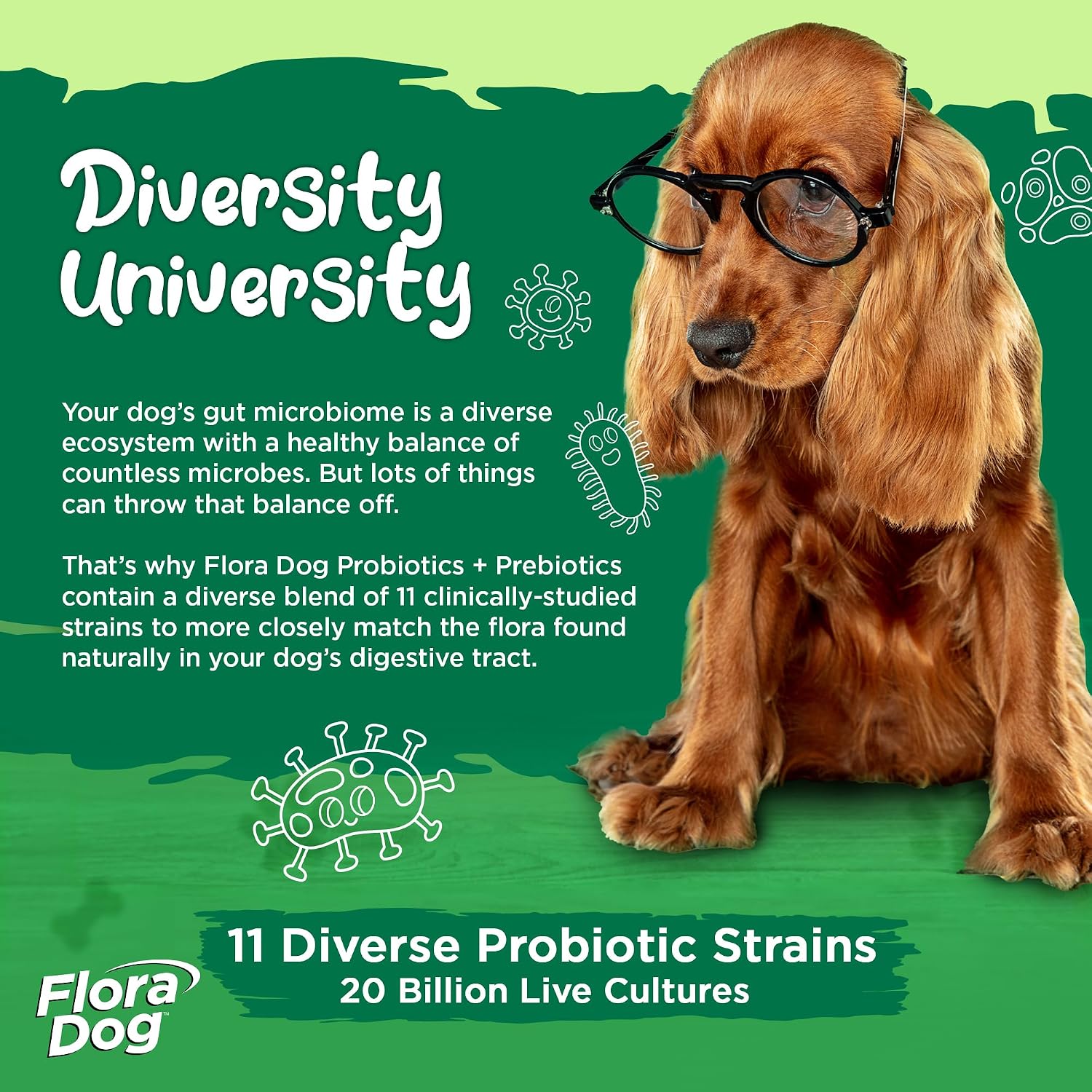 Vital Planet Flora Dog Probiotics for Dogs, 30 Bacon Flavored Chewables