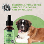 Liver Defense for Dogs and Cats - Liquid Liver Supplement with Milk Thistle and Dandelion - 60 ml