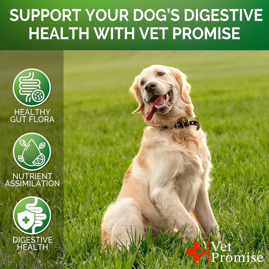 Probióticos para Perros con Enzimas Digestivas - 240 Masticables (2 Paquetes)