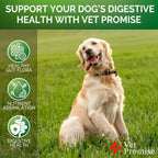 Probióticos para Perros con Enzimas Digestivas - 240 Masticables (2 Paquetes)