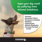 Cush Away - Suplemento Nutricional Natural para Perros