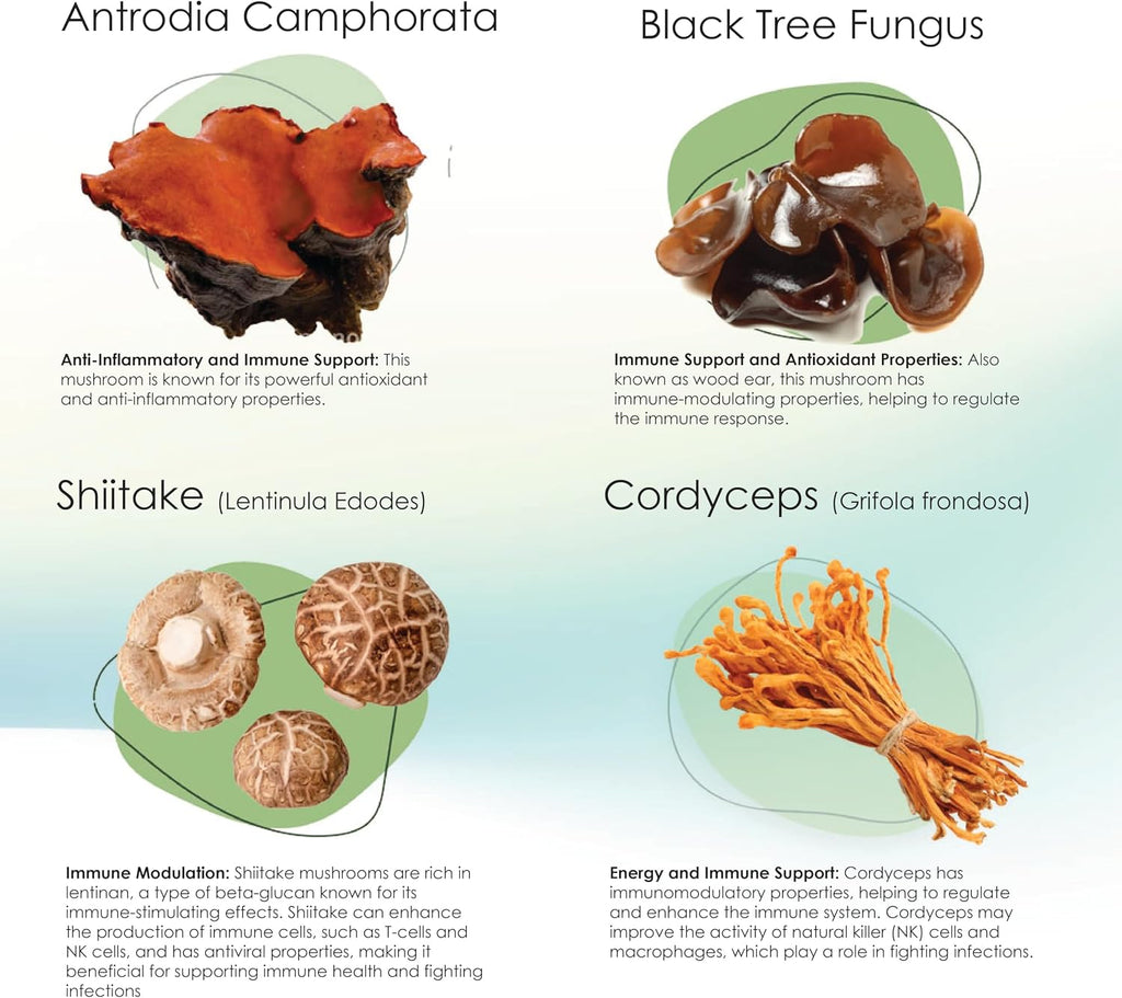 Mycogen Immune Support para Perros – Mezcla de Beta Glucano y Hongos Reishi, Shiitake y Maitake – 60 Chews Blandos Sabor Hígado