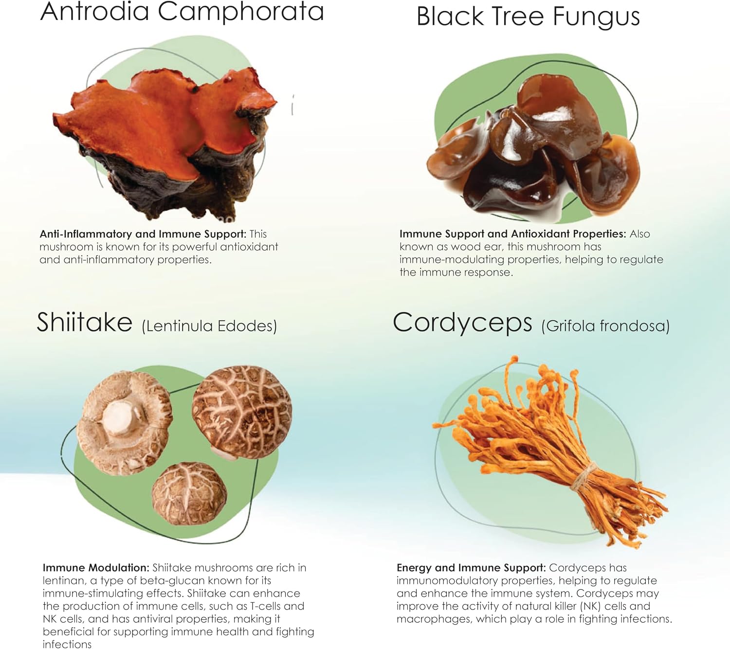 Mycogen Immune Support para Perros – Mezcla de Beta Glucano y Hongos Reishi, Shiitake y Maitake – 60 Chews Blandos Sabor Hígado