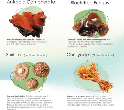 Mycogen Soft Chew para Perros - 8 Especies – Cola de Pavo (Trametes versicolor): Conocido por su alto contenido en – Image 5
