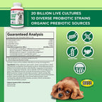 Vital Planet Flora Dog Probióticos Masticables para Perros, 20 Mil Millones UFC, 10 Cepas, 60 Tabletas Sabor Carne