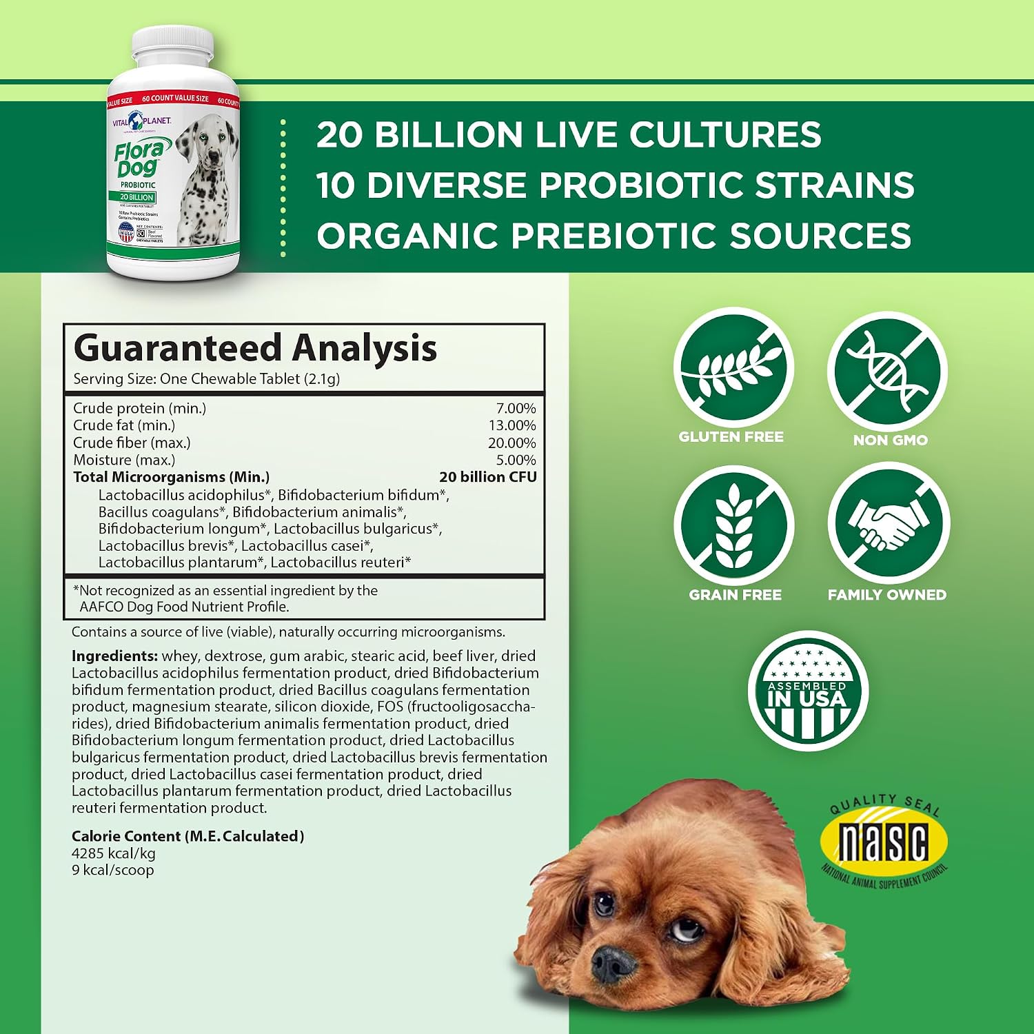 Vital Planet Flora Dog Probióticos Masticables para Perros, 20 Mil Millones UFC, 10 Cepas, 60 Tabletas Sabor Carne