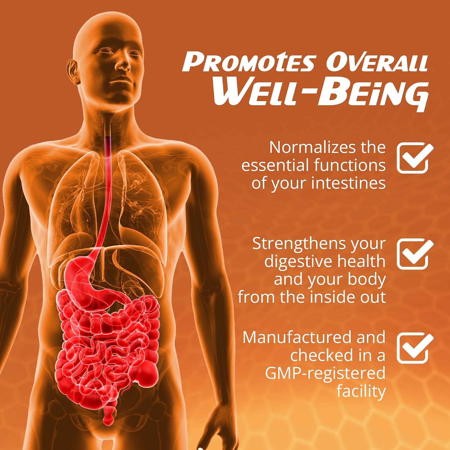 DigestActive, Suplemento para la Salud Digestiva y el Colon