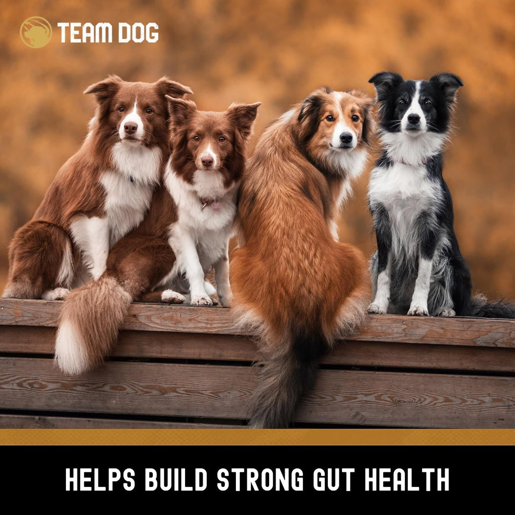 Team Dog Probióticos para Perros - Masticables Digestivos con Enzimas - 120 unidades