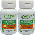 Punarnava Forte Cápsula 500 mg - 60 Cápsulas Vegetarianas | Extracto de Punarnava (Boerhaavia Diffusa) 10:1
