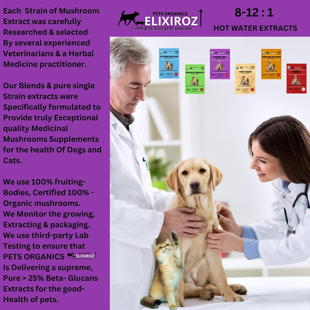 Extracto de Cola de Pavo para Perros y Gatos – 25% Beta Glucanos – Concentrado 8:1-12:1 – 250 Raciones