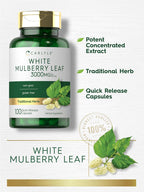 Carlyle Extracto de Hoja de Morera | 100 Cápsulas | Suplemento Herbal No-GMO y Sin Gluten