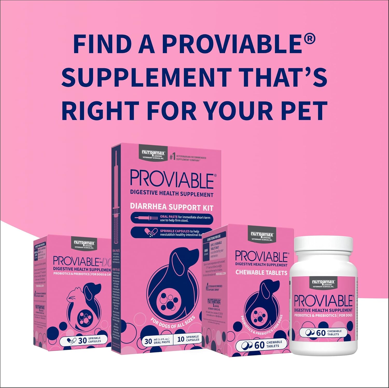 Nutramax Proviable Probióticos para Perros - 60 Comprimidos Masticables