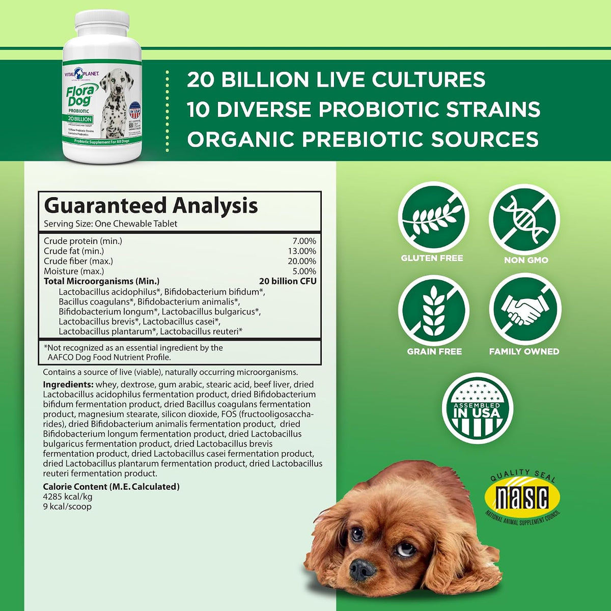 Vital Planet Flora Dog Probiótico Masticable para Perros - 30 Tabletas Sabor Carne con 20B UFC – Image 2