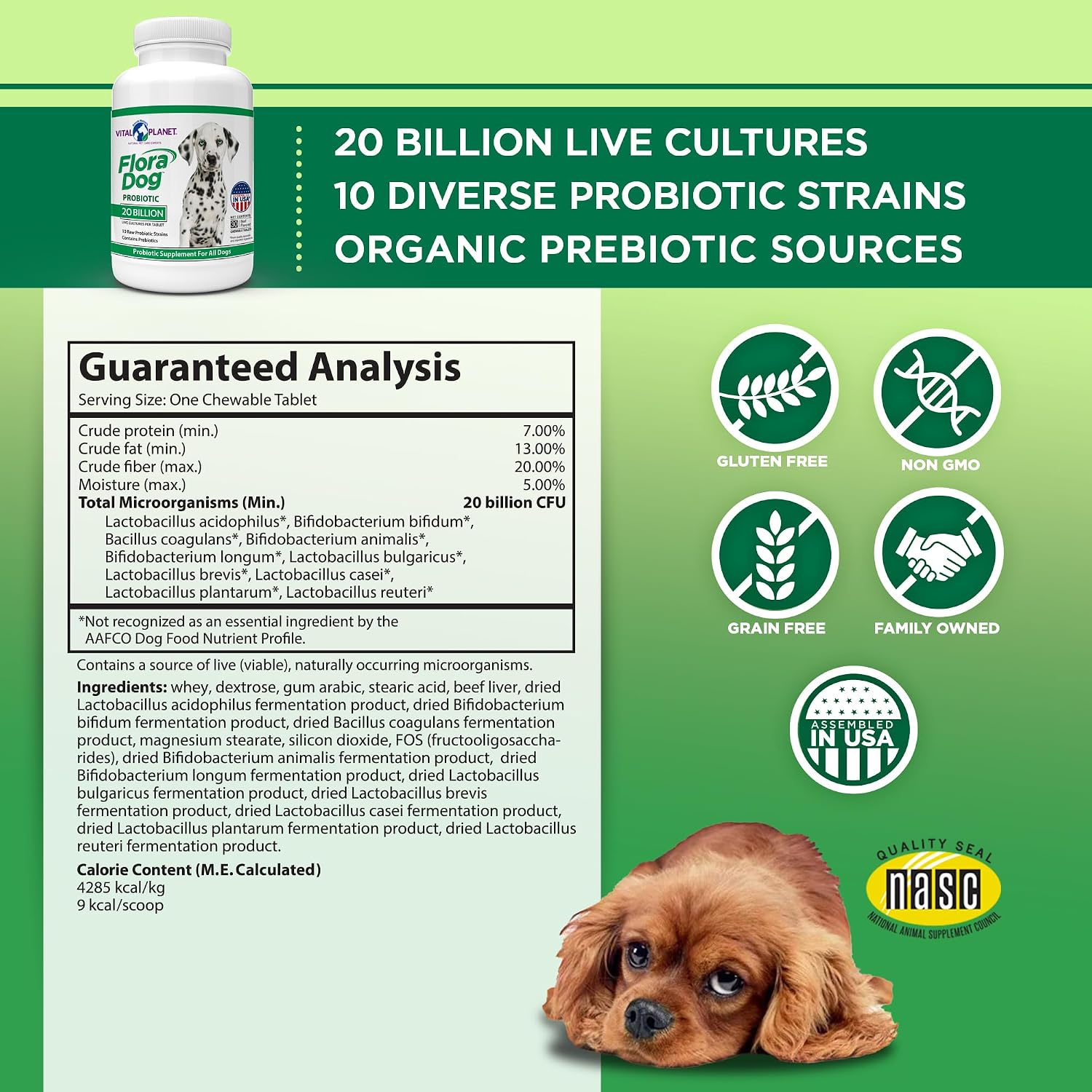 Vital Planet Flora Dog Probiótico Masticable para Perros - 30 Tabletas Sabor Carne con 20B UFC
