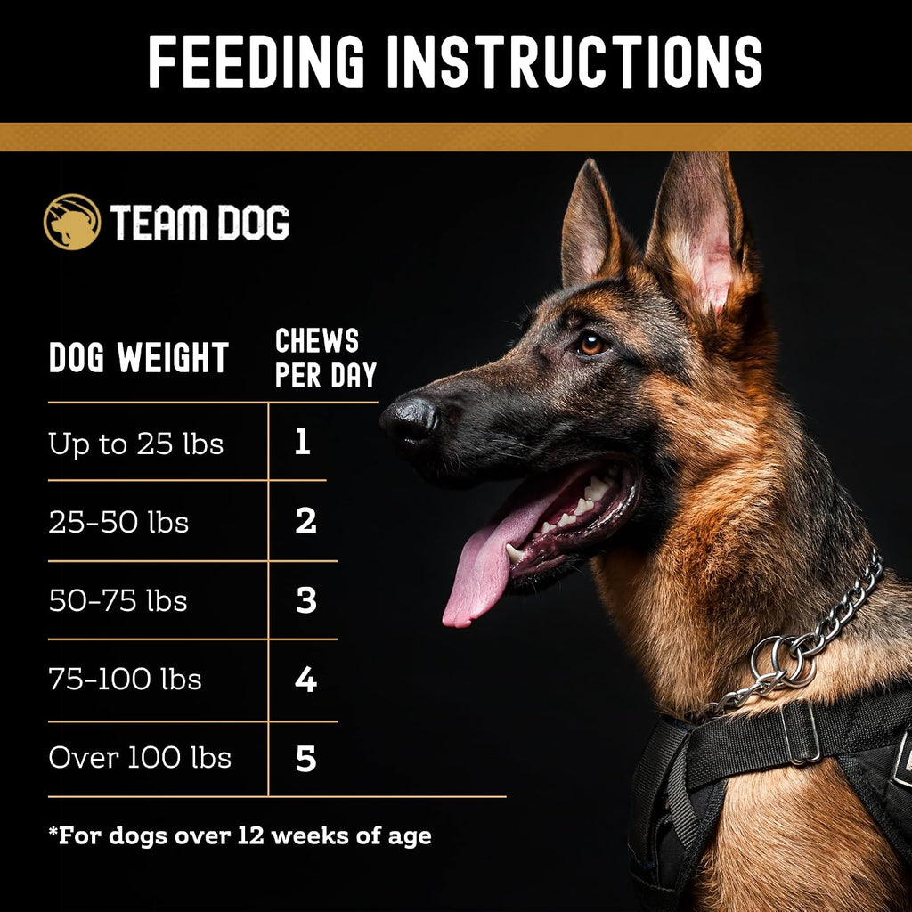 Team Dog Probióticos para Perros - Masticables Digestivos con Enzimas - 120 unidades
