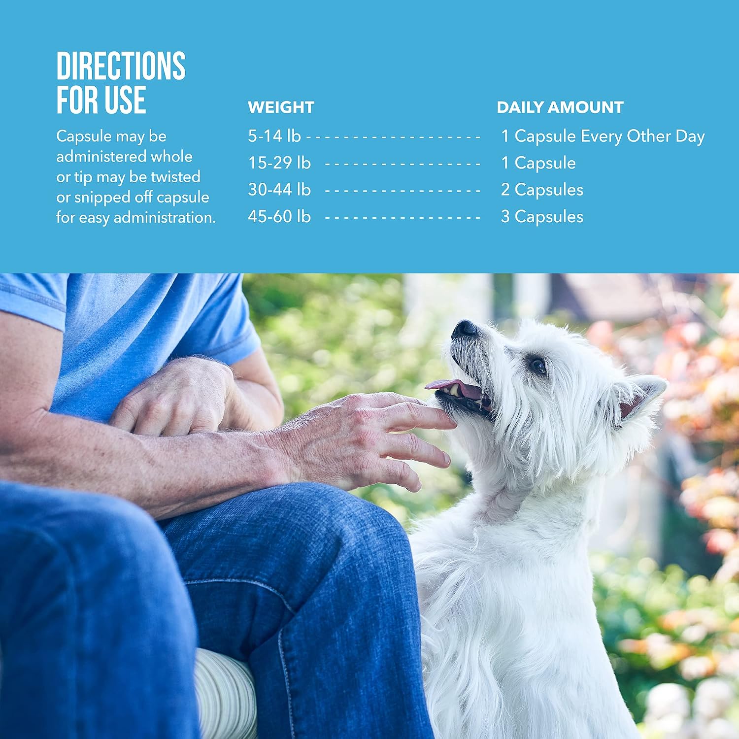 Free Form Snip Tips Omega-3 Aceite de Pescado para Perros y Gatos Pequeños, 60 Cápsulas
