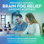 Dr Lewis Daily Brain Care Cápsulas - Suplemento para la Memoria y Concentración con Aloe Vera - 90 Cápsulas
