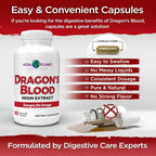 Vital Planet – Sangre de Dragón (Extracto de Resina de Croton lechleri) 500 mg – 60 Cápsulas