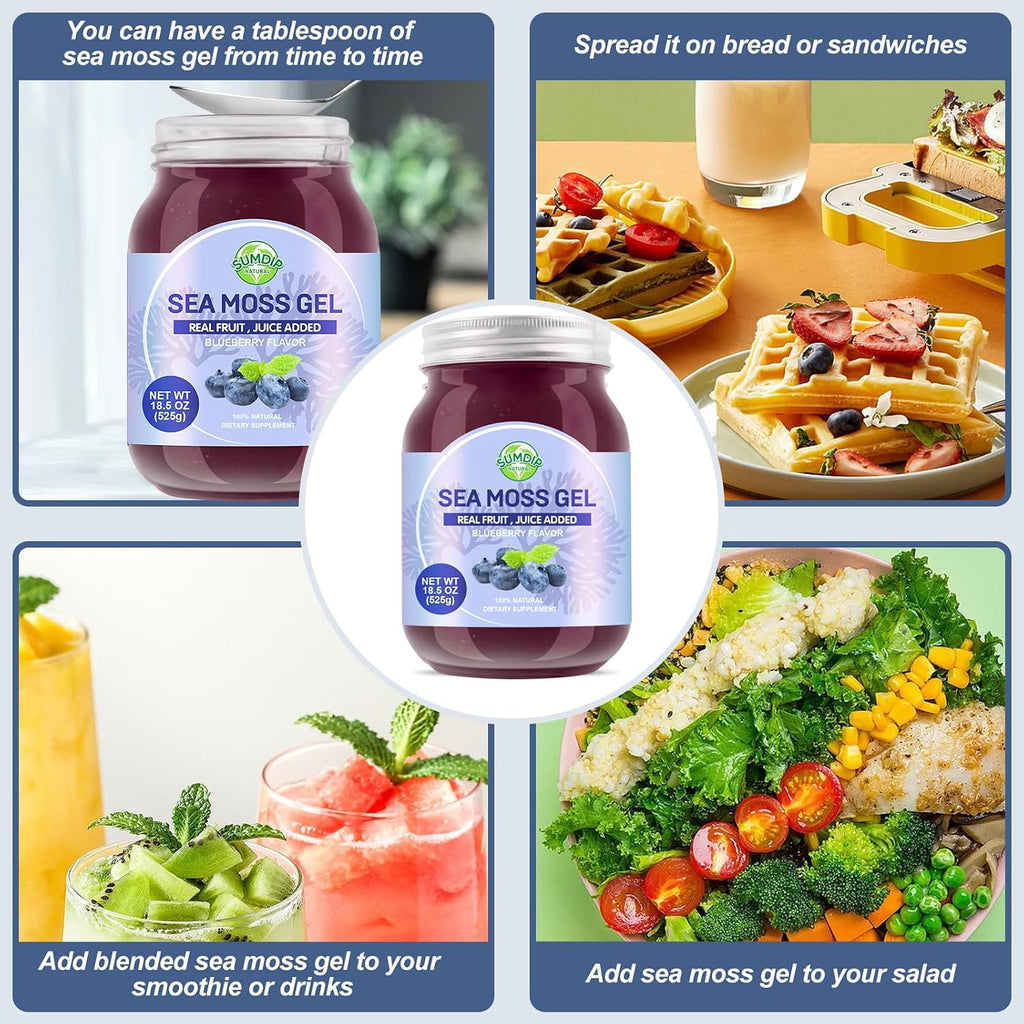 SumDIP Sea Moss Gel de Arándanos Azules - 18.5oz (524g) - Suplemento Natural de Vitaminas y Minerales