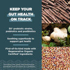 Ancient Nutrition Probiótico Recuperación Intestinal, 50.000 millones de UFC, 60 Cápsulas