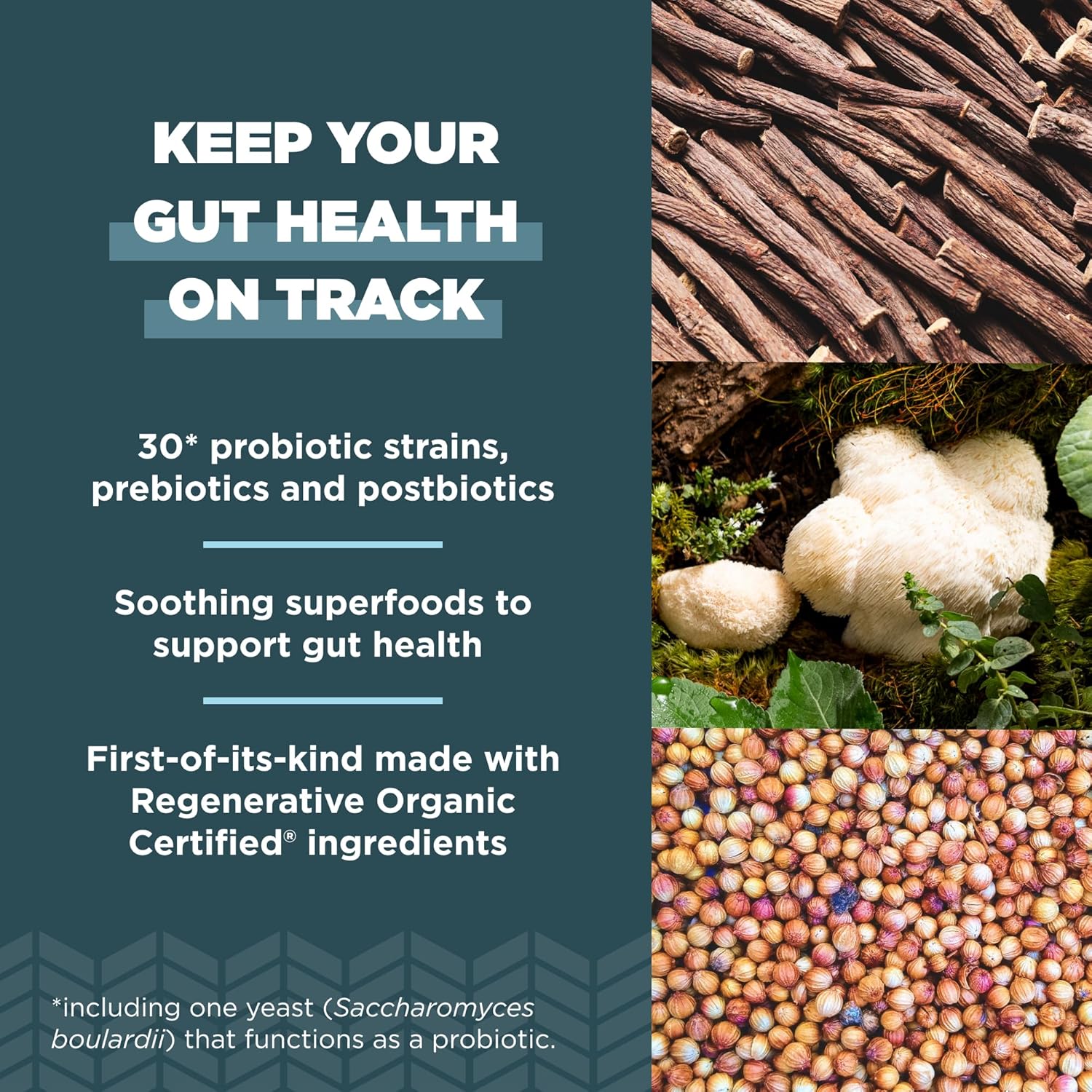 Ancient Nutrition Probiótico Recuperación Intestinal, 50.000 millones de UFC, 60 Cápsulas