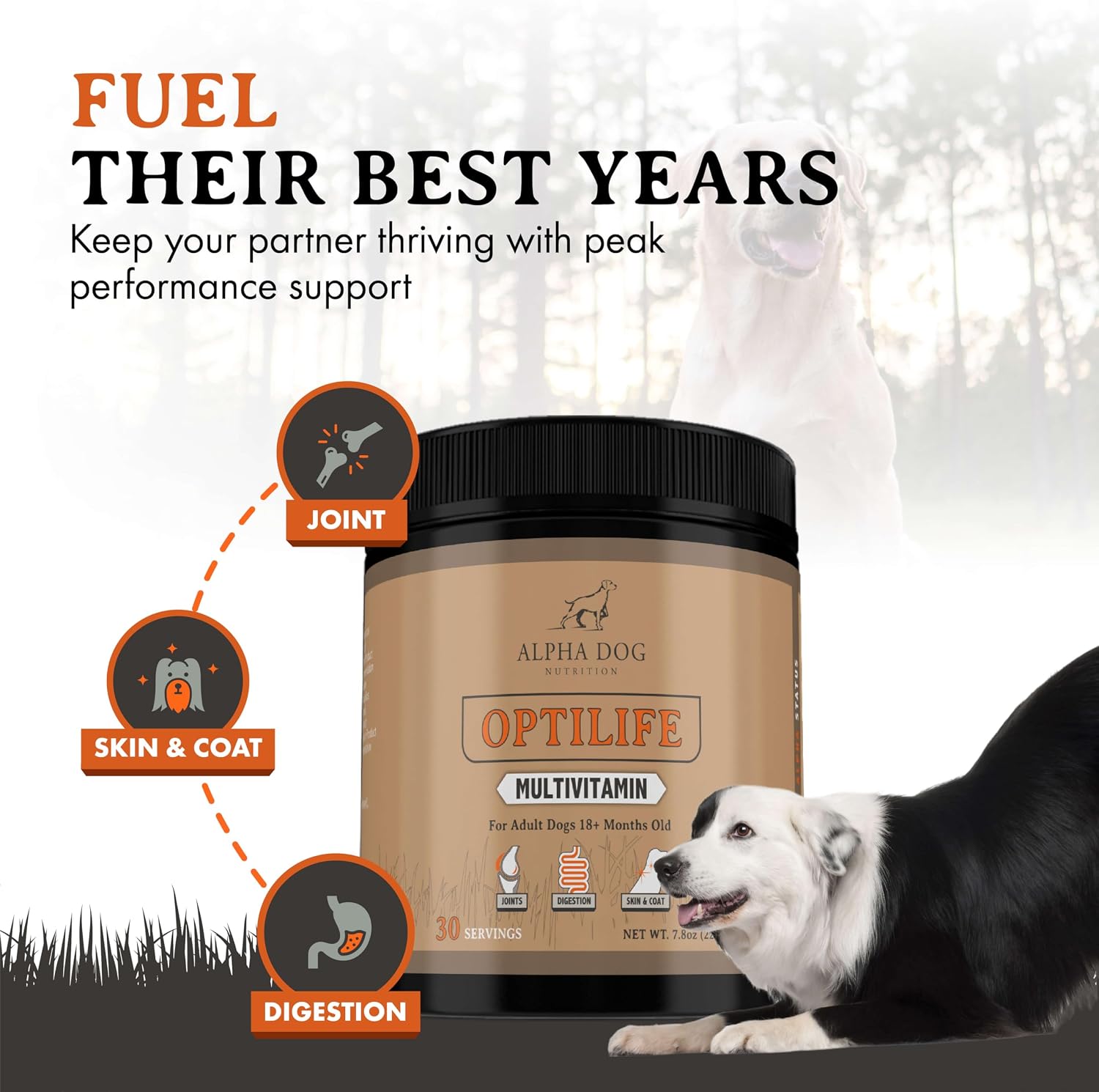 OptiLife Multivitamínico en Polvo para Perros - con Probióticos, Glucosamina, para Apoyo Articular y Digestivo (60 dosis)