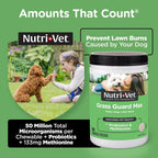 Nutri-Vet Grass Guard Masticables para Perros - 365 Comprimidos