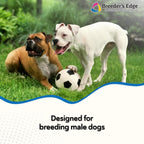 Breeder’s Edge in Between for Him – Multivitamínico diario para perros y gatos machos – 90 comprimidos