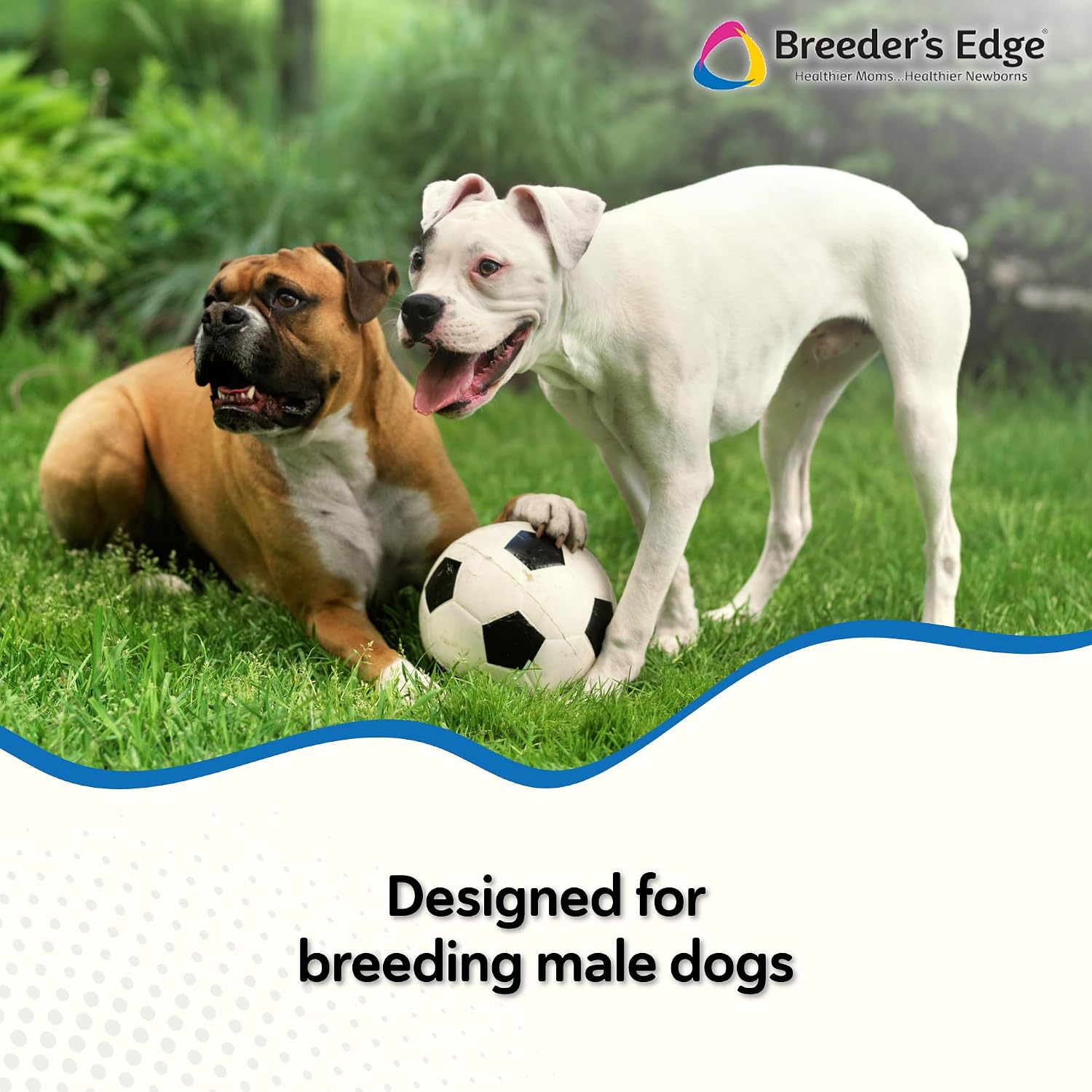 Breeder’s Edge in Between for Him – Multivitamínico diario para perros y gatos machos – 90 comprimidos