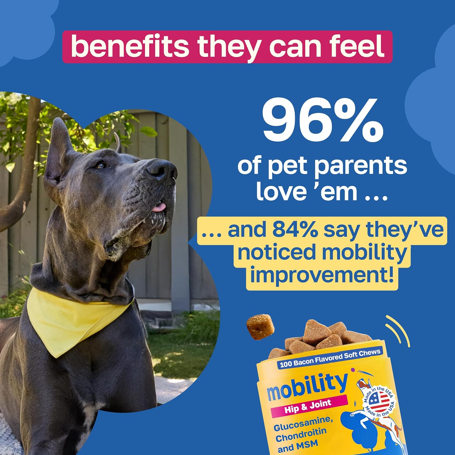Happy Paws Suplemento para la Piel y el Pelaje de Perros, Apoyo para Picor y Alergias, Confort para Piel Seca y Control de Caída del Pelo con Aceite de Coco y Vitamina B12, Sabor a Pollo Vegano, 100 Masticables