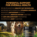 Probióticos para Perros - Combinación Pre, Pro y Postbióticos - Masticables Blandos para Salud Digestiva e Inmunidad - 100 uds