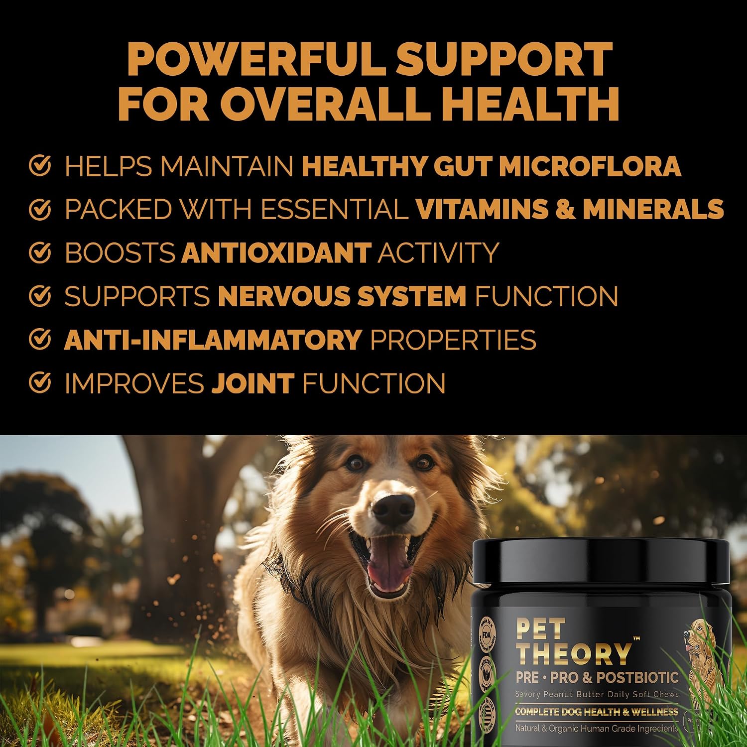 Probióticos para Perros - Combinación Pre, Pro y Postbióticos - Masticables Blandos para Salud Digestiva e Inmunidad - 100 uds