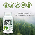 Planet Source Graviola Leaf (Annona muricata) - 1400 mg - 60 Cápsulas Vegetales