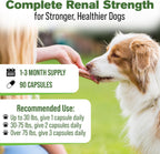 Kidney Support for Dogs – Canine Herbal Supplement for Kidneys and Bladder – 90 Capsules
