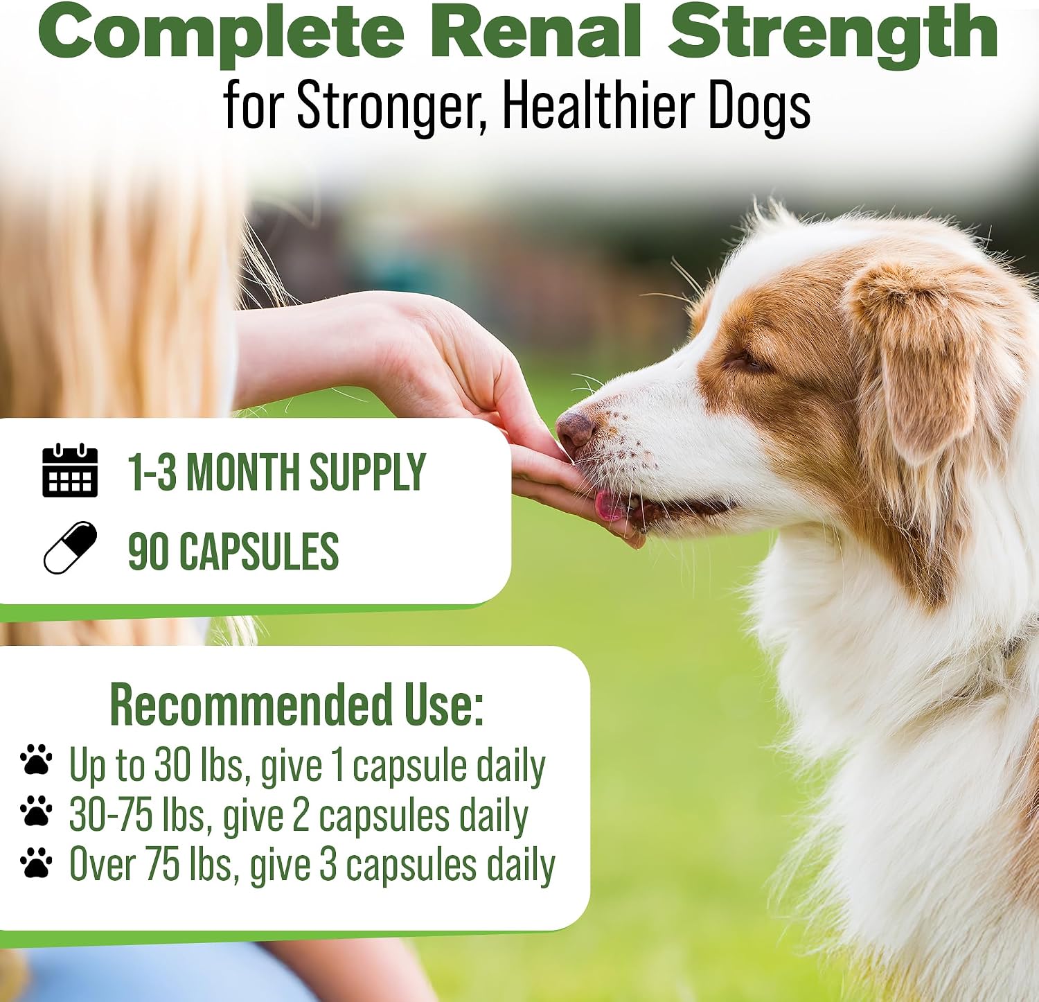 Kidney Support for Dogs – Canine Herbal Supplement for Kidneys and Bladder – 90 Capsules