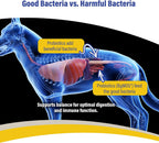 Doc Roy's GI Synbiotics: Probióticos y Prebióticos para Perros y Gatos, 454 g
