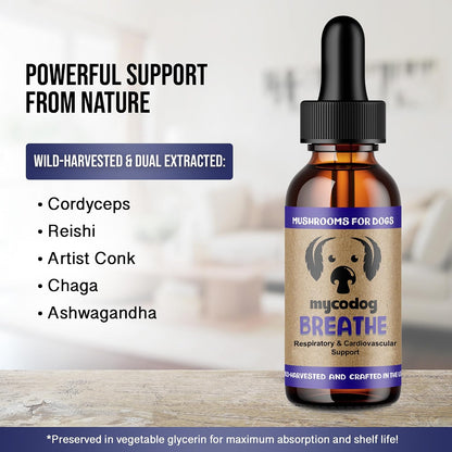 MycoDog Breathe - Gotas de apoyo – Ashwagandha (Withania somnifera): Adaptógeno que puede ayudar a reducir el – Image 4