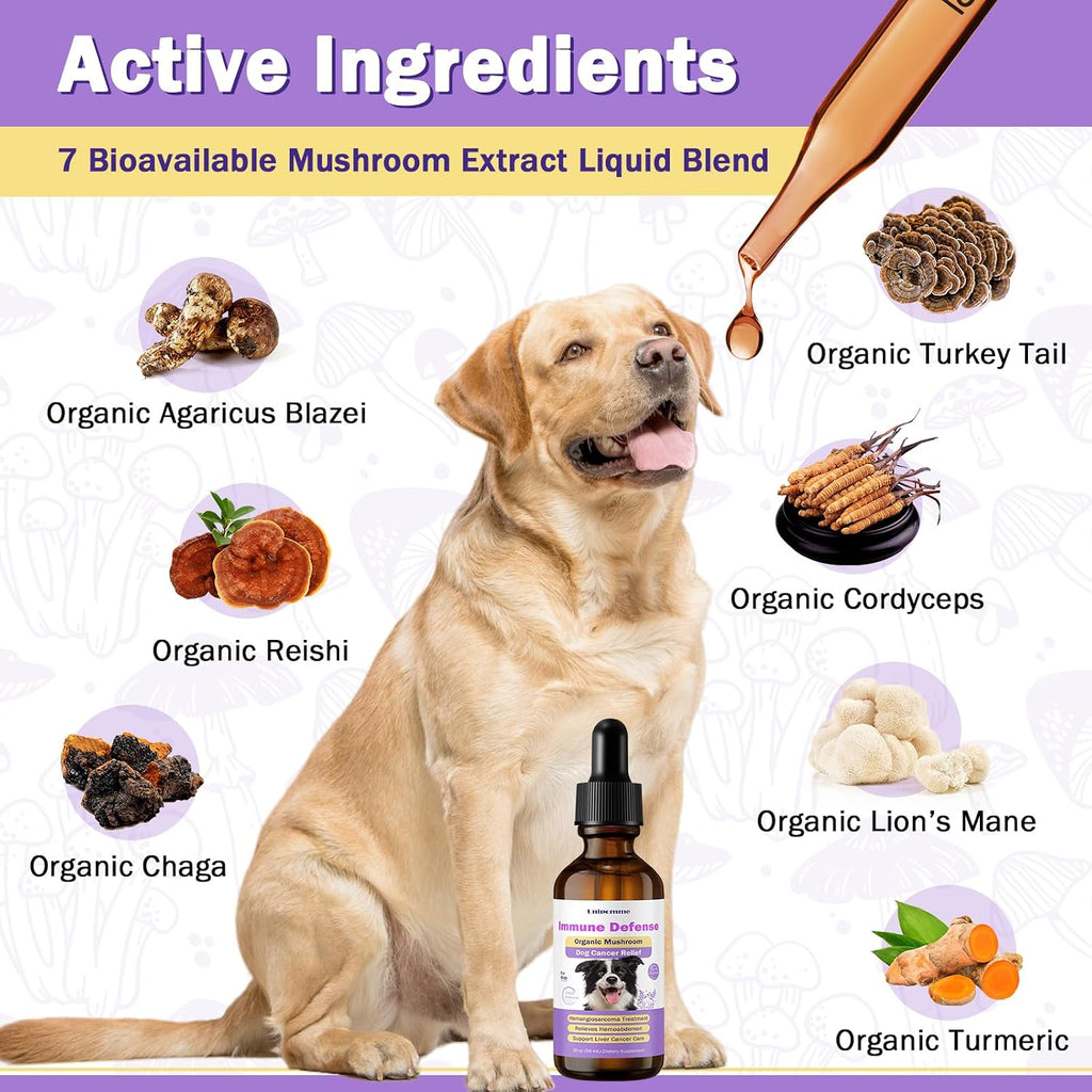 Pet Critical Guard - Suplemento Herbal para Perros contra el Cáncer, 59 ml