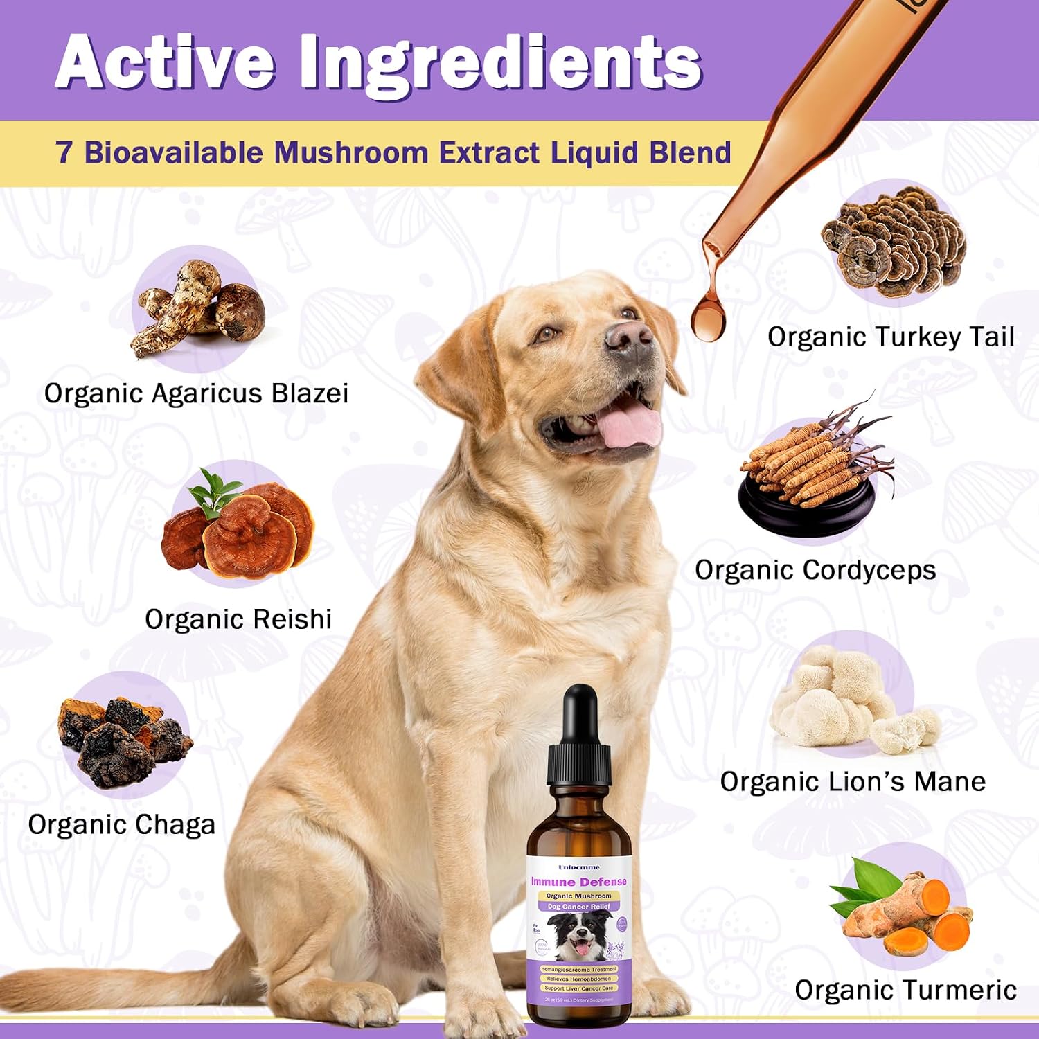 Pet Critical Guard - Suplemento Herbal para Perros contra el Cáncer, 59 ml