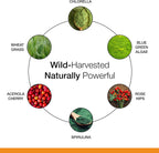 Dr. Schulze's Superfood 100 - Suplemento Superfood Diario con Vitaminas y Minerales - Polvo Sabor Cítricos y Piña - 30 Porciones