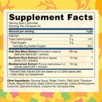 TrueSeaMoss Irish Sea Moss Gummies con Bardana y Fucus – Fórmula para Adultos y Niños – 60 Gominolas