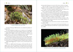 Moss Medicine: Indigenous Wisdom and Modern Pharmacology