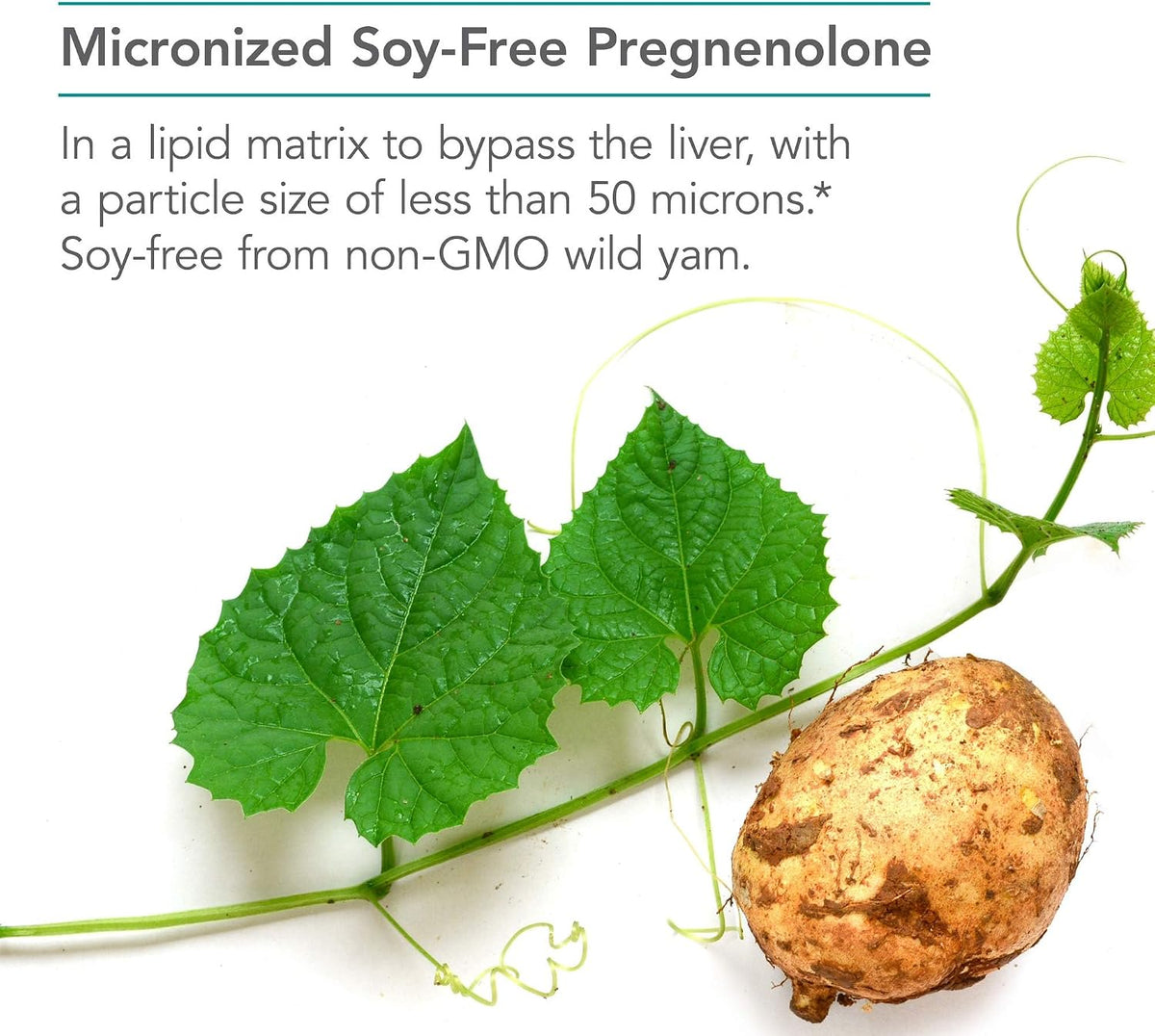 NutriCology Pregnenolona 100 mg - 60 Comprimidos – Image 4