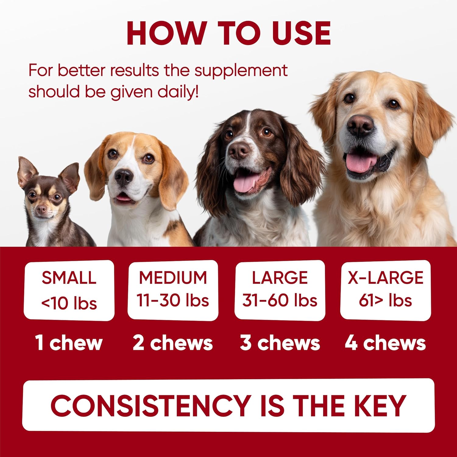 Probióticos para Perros - Masticables Digestivos con Enzimas de Pawzitive Pets