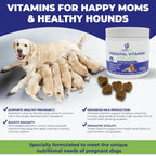PREGNAPAWS Vitaminas Prenatales para Perros - 90 Masticables Blandos