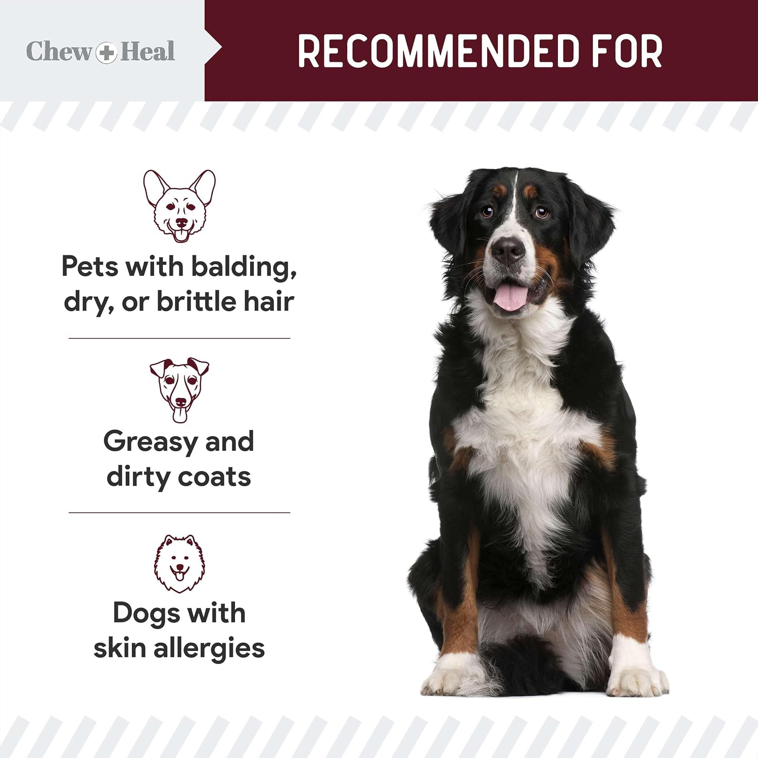 Dog Skin and Coat Supplement - 360 Soft Chew Omega Treats para Alergias de Piel - Mezcla de Aceite de Salmón con Ácidos Grasos Esenciales, Omega 3, 6, Vitaminas, Minerales - Hecho en USA (2 Paquetes de 180, Sabor Cordero)