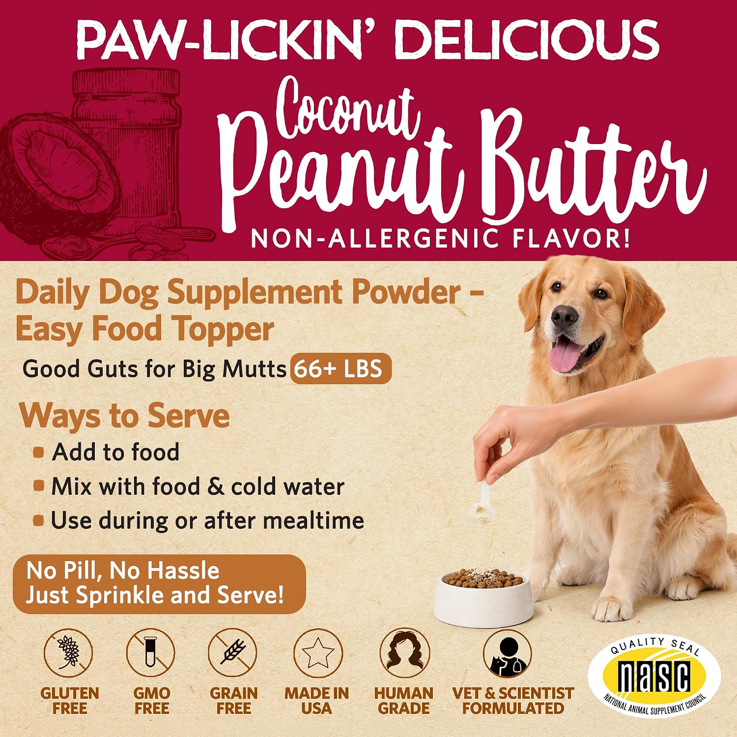 Good Guts Probióticos para Perros – Polvo Digestivo con 12B UFC, Enzimas y Prebióticos