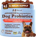 Natural Dog Company Probióticos para Perros – Masticables con 1B UFC, Cepas Microencapsuladas, Prebióticos y Enzimas para la Salud Digestiva, 45 unidades