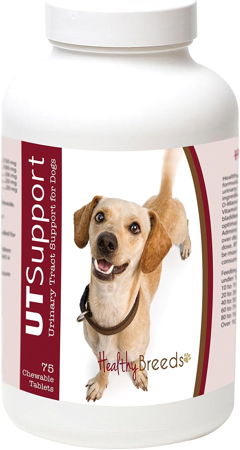Healthy Breeds Masticables de Arándano para Perros - Apoyo Urinario - 75 Unidades